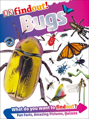 cover image of DK Findout! Bugs